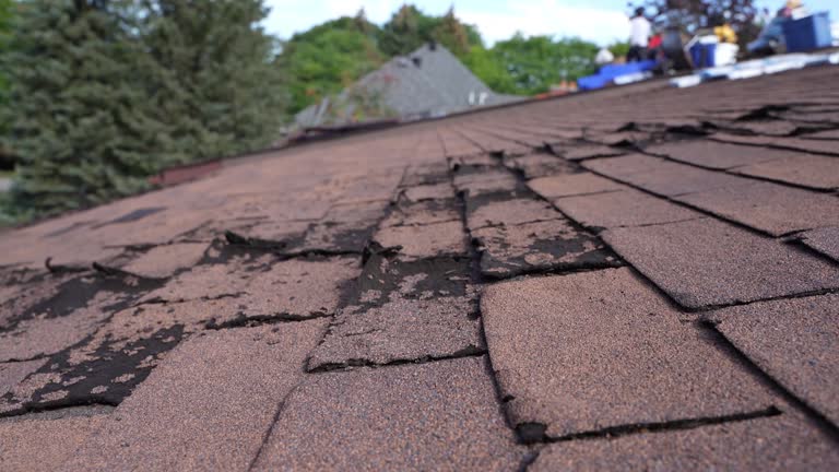 Best Asphalt Shingle Roofing  in East Peoria, IL